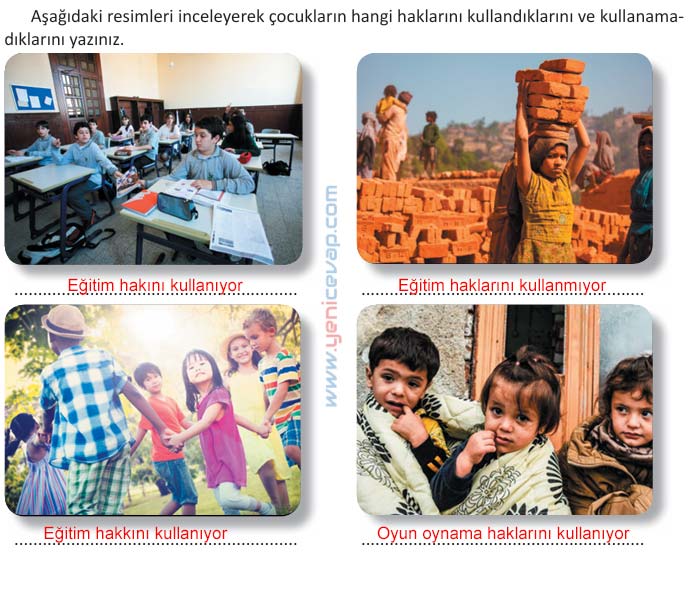 4. Sınıf İnsan Hakları Kitabı Sayfa 28 29 30 31 Cevapları Meb