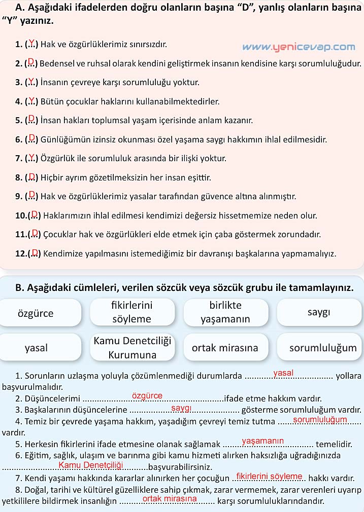 4. Sınıf İnsan Hakları Kitabı Sayfa 40 41 42 43 Cevapları Meb