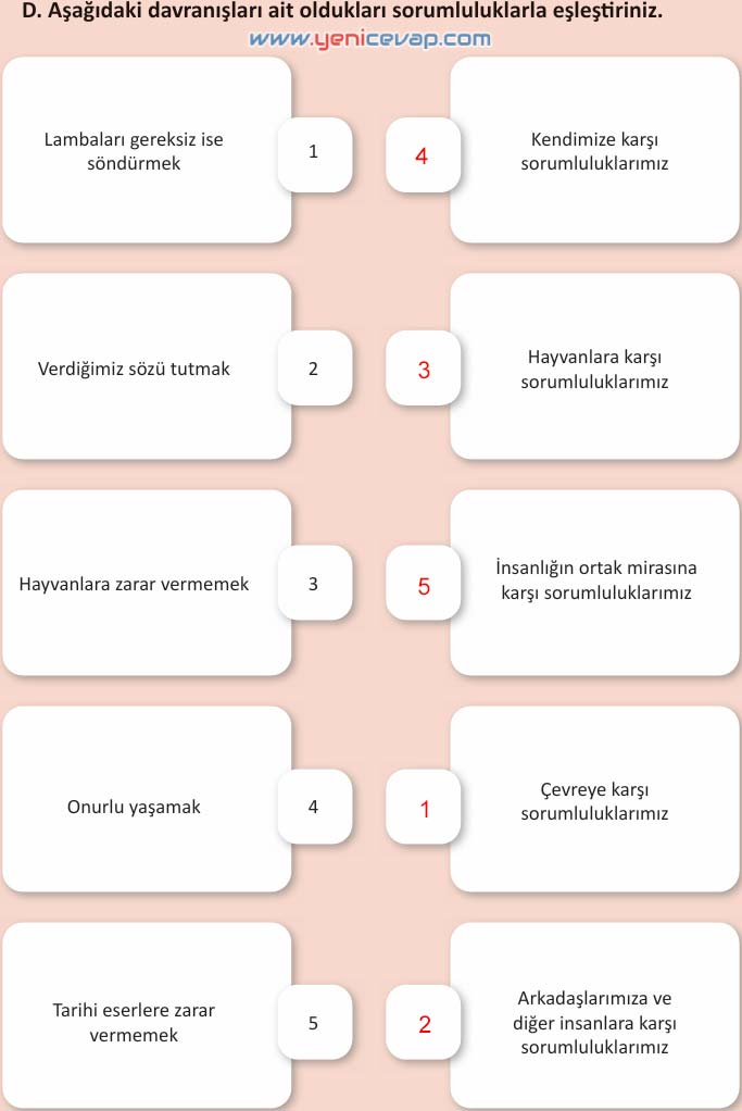 4. Sınıf İnsan Hakları Kitabı Sayfa 40 41 42 43 Cevapları Meb
