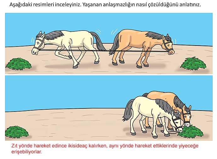 4. Sınıf İnsan Hakları Kitabı Sayfa 62 63 64 65 66 Cevapları Meb