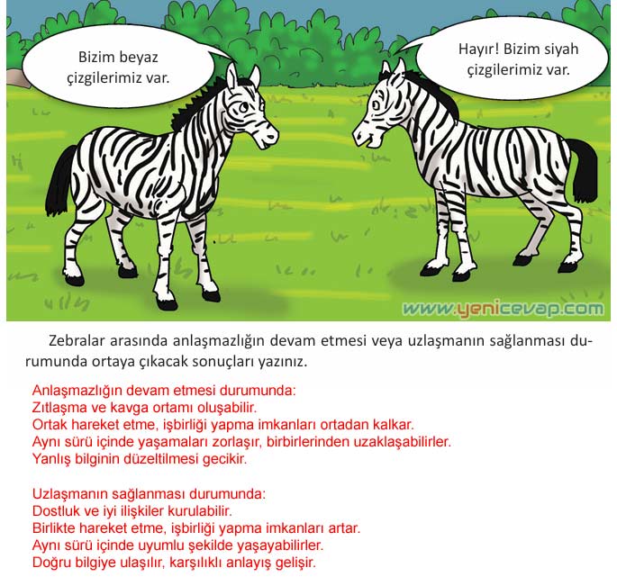 4. Sınıf İnsan Hakları Kitabı Sayfa 67 68 69 70 Cevapları Meb