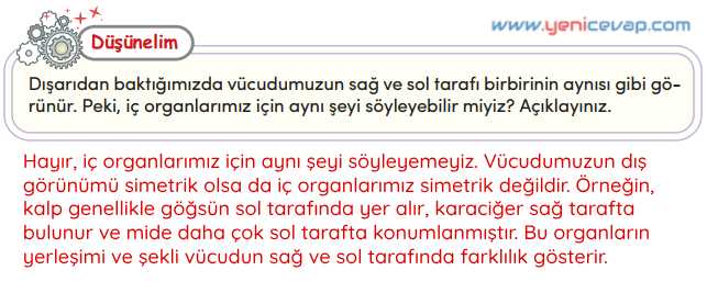 4. Sınıf Matematik Kitabı Sayfa 208 210 211 212 Cevapları Meb