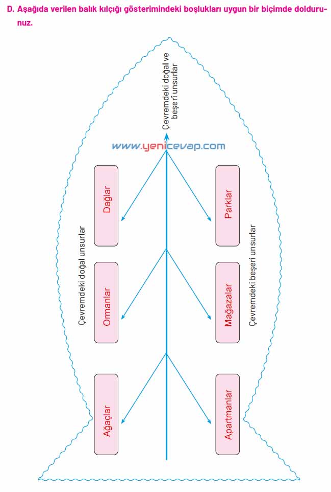 4. Sınıf Sosyal Bilgiler Kitabı Sayfa 98 100 103 104 105 Cevapları Hecce Yayınları