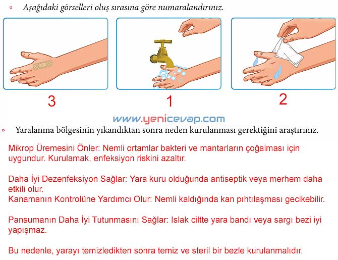 4. Sınıf Trafik Güvenliği Kitabı Sayfa 69 70 71 72 73 74 Cevapları Meb