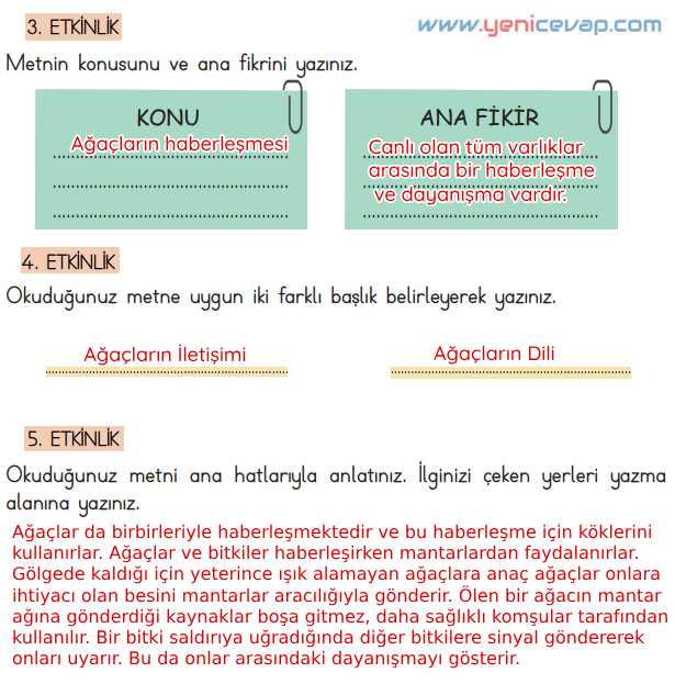 4. Sınıf Türkçe Kitabı Sayfa 138 140 141 143 Cevapları Meb