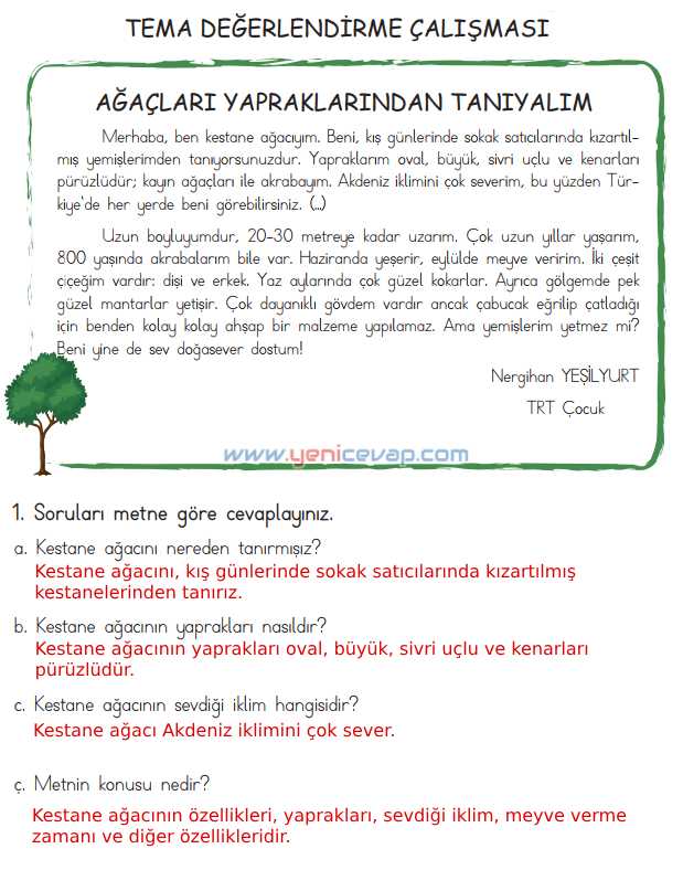 4. Sınıf Türkçe Kitabı Sayfa 164 165 166 167 Cevapları Meb