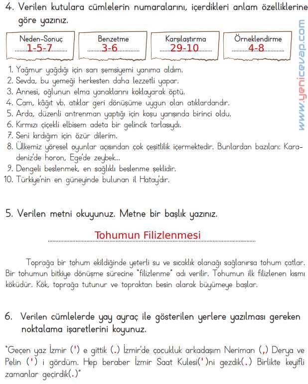 4. Sınıf Türkçe Kitabı Sayfa 164 165 166 167 Cevapları Meb