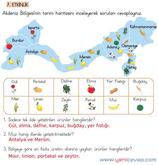 4. Sınıf Türkçe Kitabı Sayfa 187 188 189 190 191 Cevapları Meb