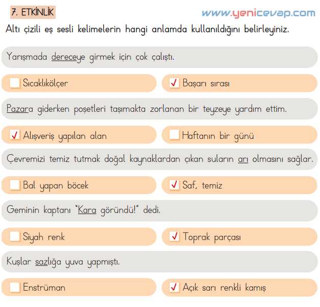 4. Sınıf Türkçe Kitabı Sayfa 49 50 53 54 55 Cevapları Meb