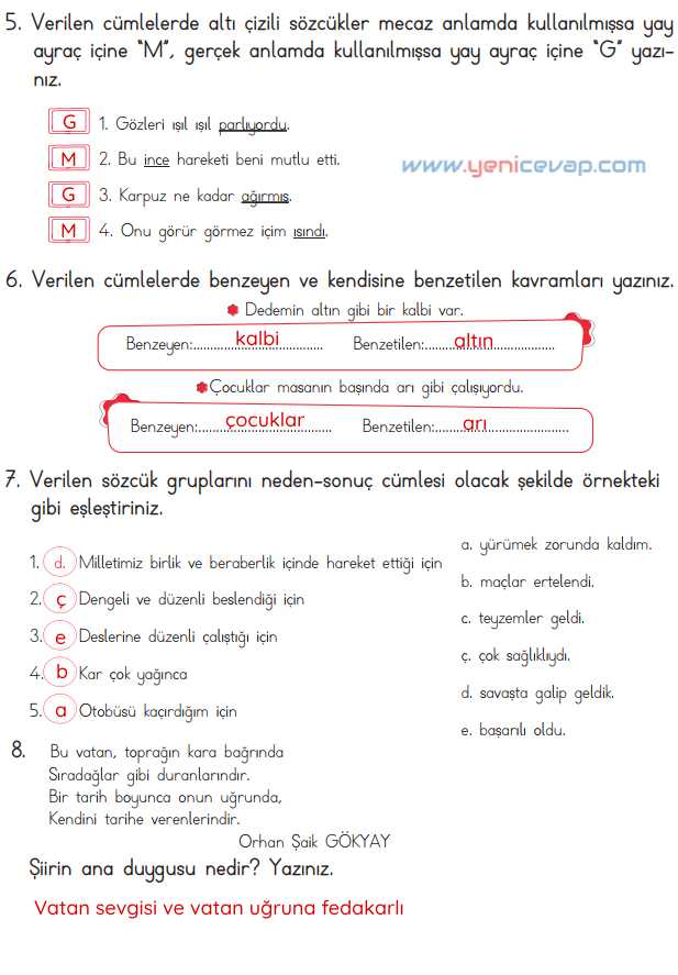 4. Sınıf Türkçe Kitabı Sayfa 69 72 73 74 Cevapları Meb