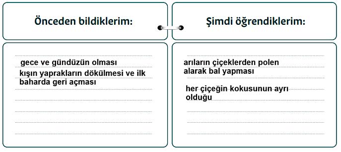 5. Sınıf Din Kültürü Kitabı Sayfa 14 16 17 18 19 21 22 Cevapları Meb