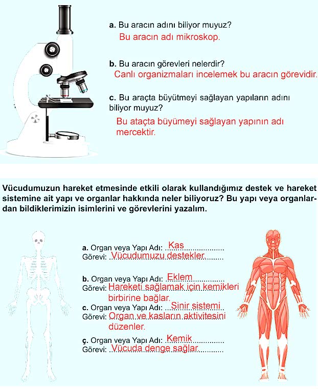 5. Sınıf Fen Bilimleri 1. Kitap Sayfa 102 103 104 105 106 110 111 Cevapları Meb