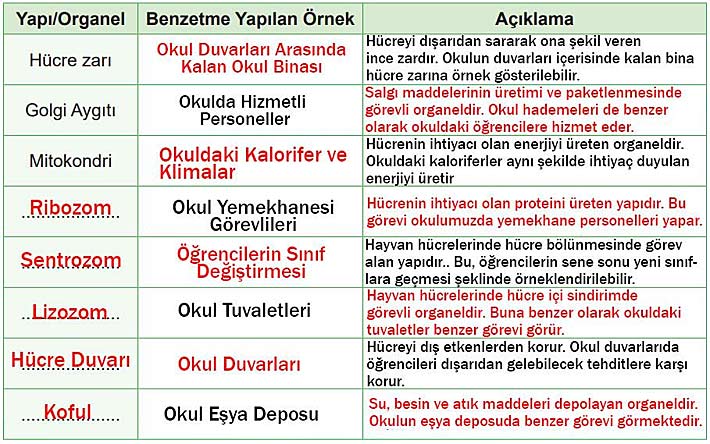 5. Sınıf Fen Bilimleri 1. Kitap Sayfa 102 103 104 105 106 110 111 Cevapları Meb