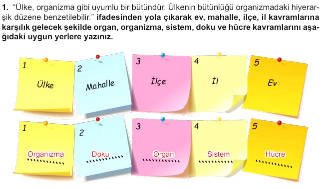 5. Sınıf Fen Bilimleri 1. Kitap Sayfa 112 114 116 118 119 Cevapları Meb