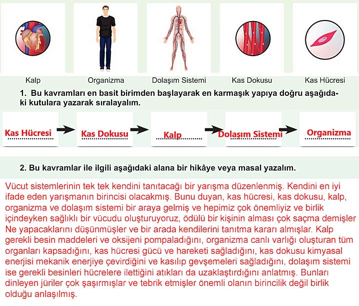 5. Sınıf Fen Bilimleri 1. Kitap Sayfa 112 114 116 118 119 Cevapları Meb