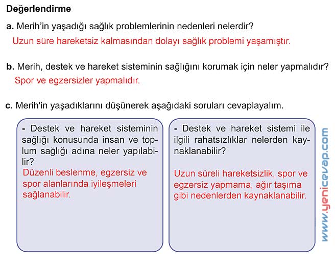 5. Sınıf Fen Bilimleri 1. Kitap Sayfa 128 130 132 133 134 138 Cevapları Meb