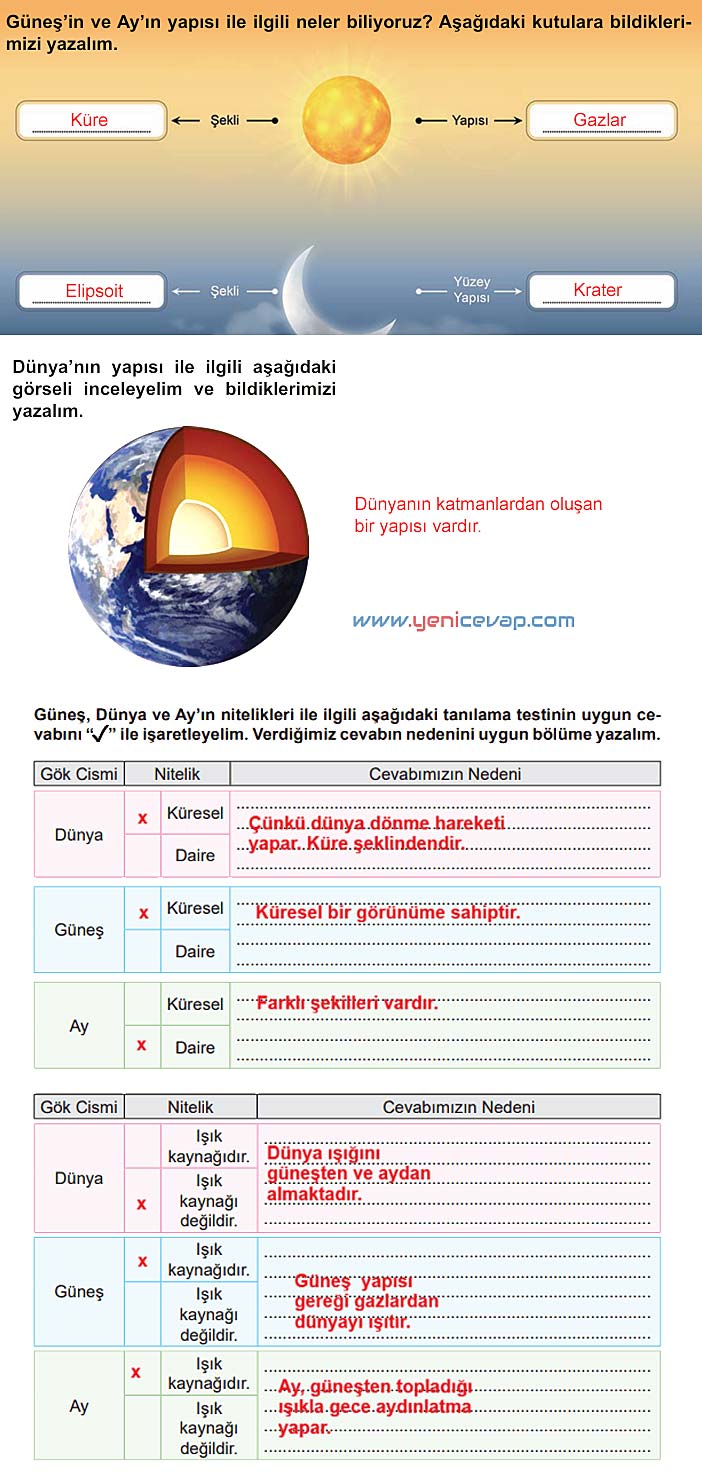 5. Sınıf Fen Bilimleri 1. Kitap Sayfa 18 19 20 22 23 Cevapları Meb