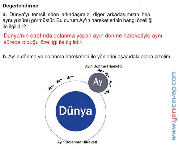 5. Sınıf Fen Bilimleri 1. Kitap Sayfa 25 26 27 29 30 Cevapları Meb