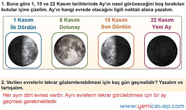 5. Sınıf Fen Bilimleri 1. Kitap Sayfa 40 42 43 44 46 Cevapları Meb
