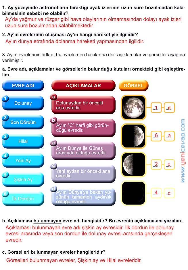 5. Sınıf Fen Bilimleri 1. Kitap Sayfa 40 42 43 44 46 Cevapları Meb