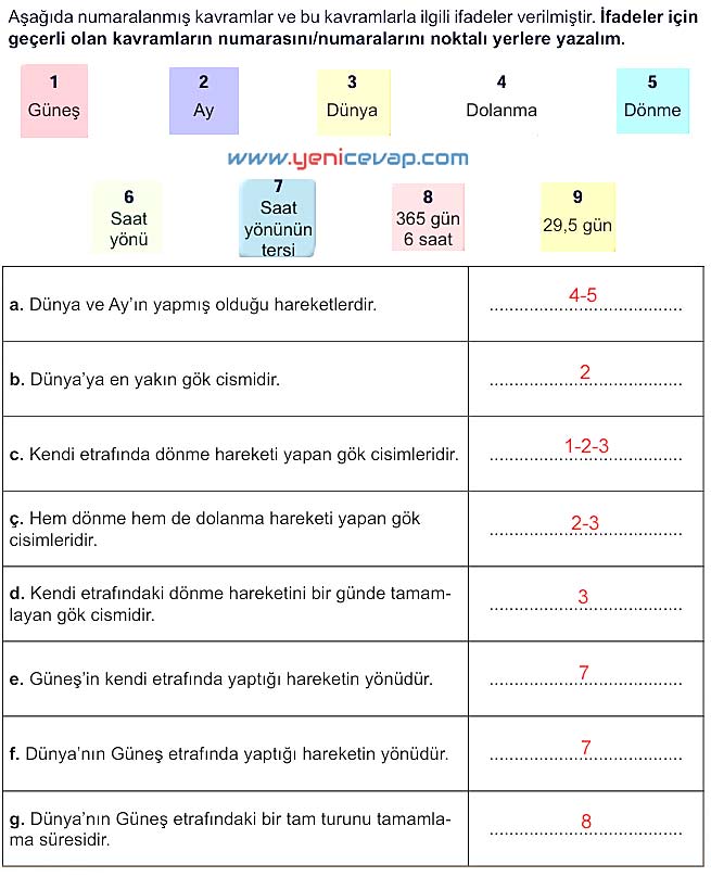 5. Sınıf Fen Bilimleri 1. Kitap Sayfa 48 49 50 51 52 Cevapları Meb