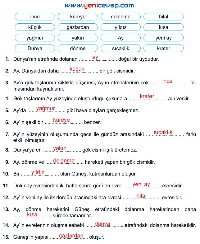 5. Sınıf Fen Bilimleri 1. Kitap Sayfa 48 49 50 51 52 Cevapları Meb
