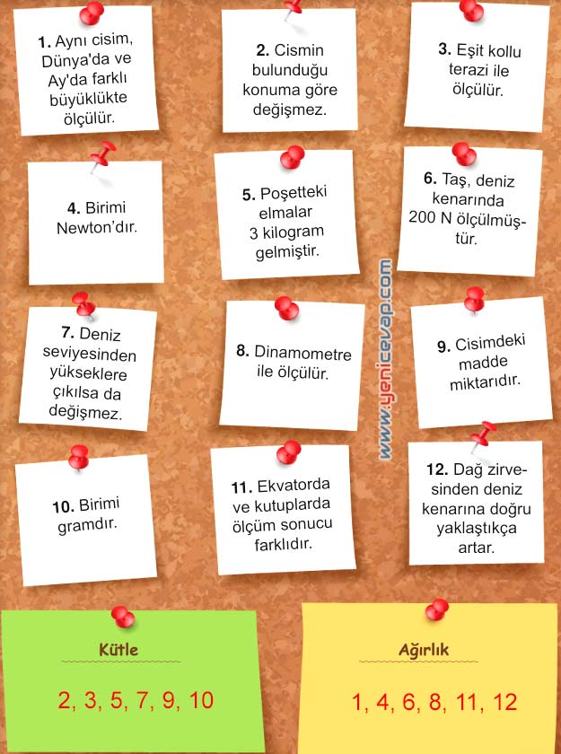 5. Sınıf Fen Bilimleri 1. Kitap Sayfa 71 73 74 75 76 Cevapları Meb