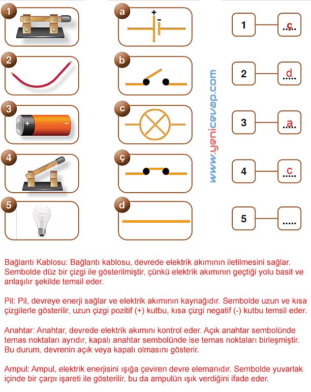 5. Sınıf Fen Bilimleri 2. Kitap Sayfa 105 106 107 108 109 Cevapları Meb