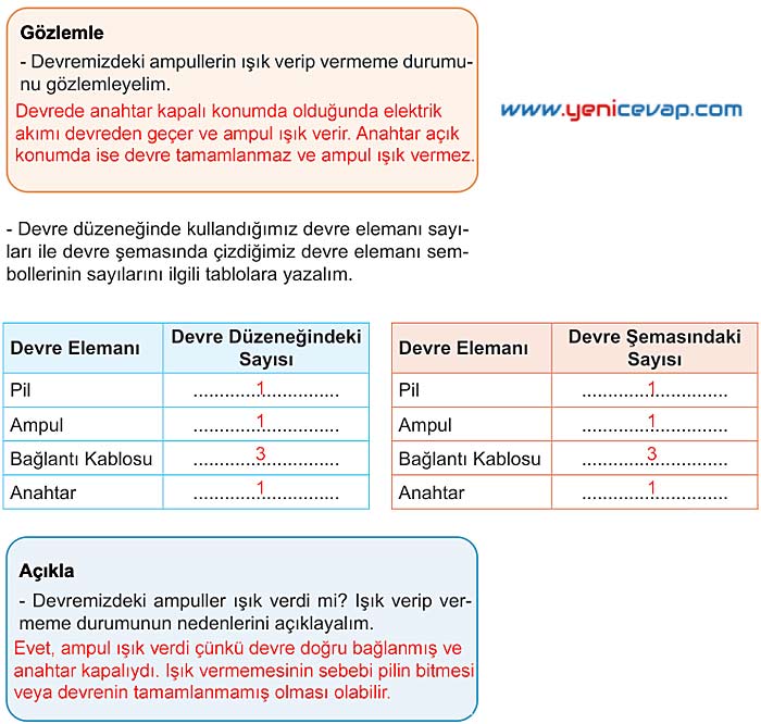 5. Sınıf Fen Bilimleri 2. Kitap Sayfa 111 113 114 115 116 Cevapları Meb