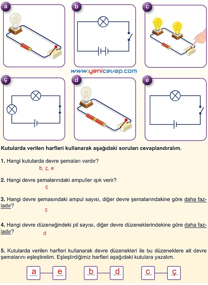 5. Sınıf Fen Bilimleri 2. Kitap Sayfa 111 113 114 115 116 Cevapları Meb