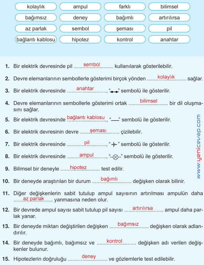 5. Sınıf Fen Bilimleri 2. Kitap Sayfa 126 127 128 129 130 Cevapları Meb