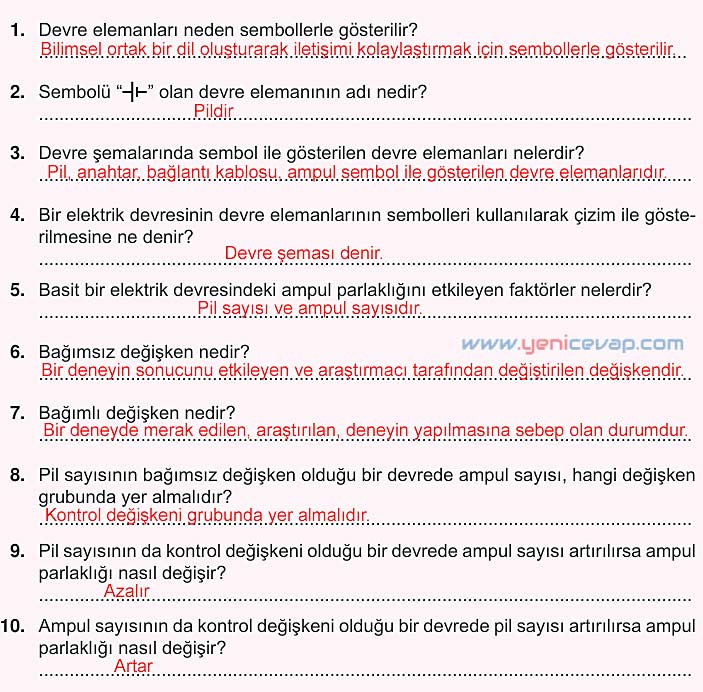 5. Sınıf Fen Bilimleri 2. Kitap Sayfa 126 127 128 129 130 Cevapları Meb