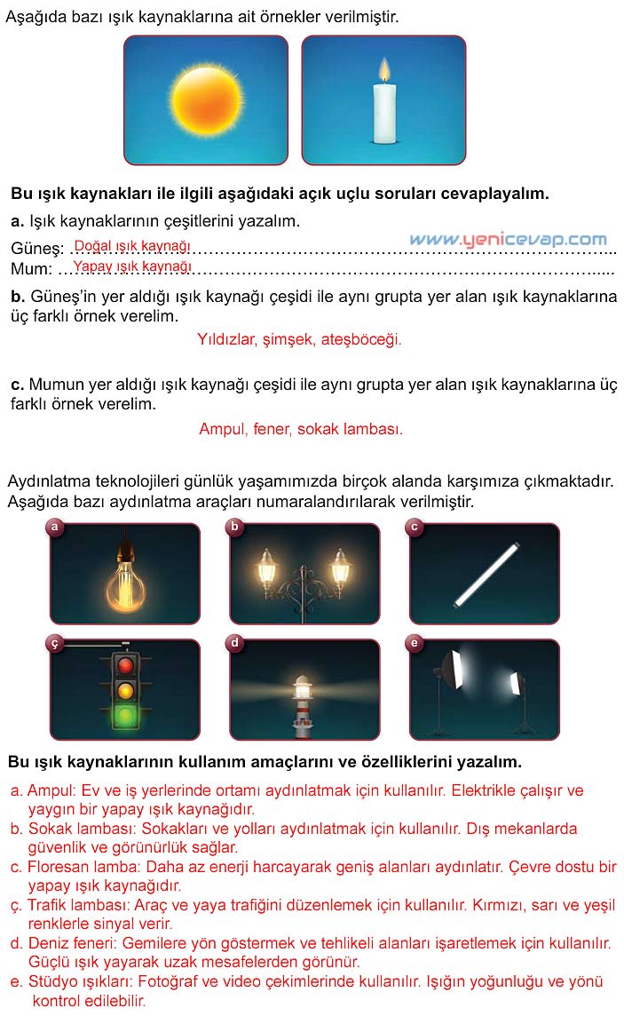 5. Sınıf Fen Bilimleri 1. Kitap Sayfa 14 15 16 17 19 20 Cevapları Meb