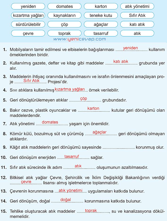 5. Sınıf Fen Bilimleri 2. Kitap Sayfa 147 150 152 153 154 155 156 Cevapları Meb