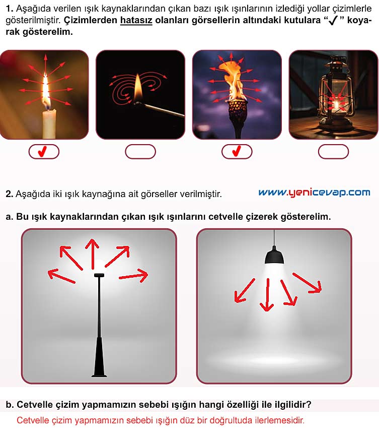 5. Sınıf Fen Bilimleri 1. Kitap Sayfa 22 23 24 25 26 Cevapları Meb
