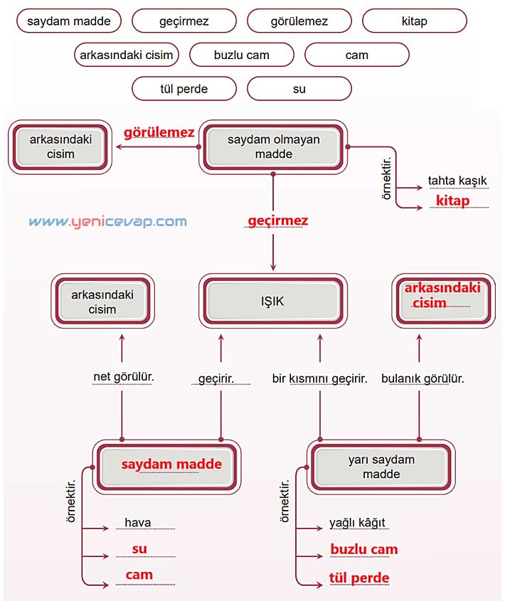 5. Sınıf Fen Bilimleri 2. Kitap Sayfa 28 29 30 32 33 34 35 Cevapları Meb