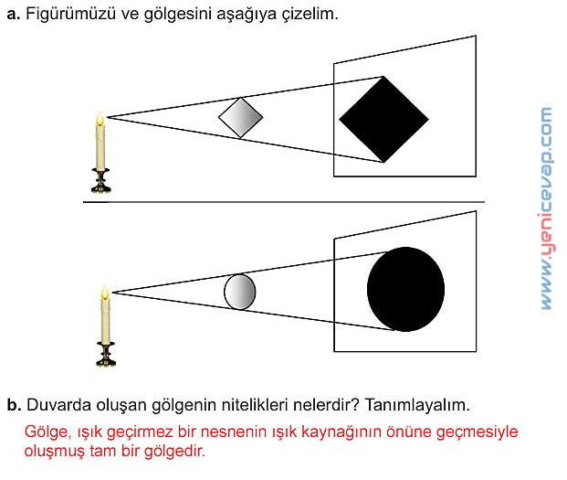 5. Sınıf Fen Bilimleri 2. Kitap Sayfa 28 29 30 32 33 34 35 Cevapları Meb