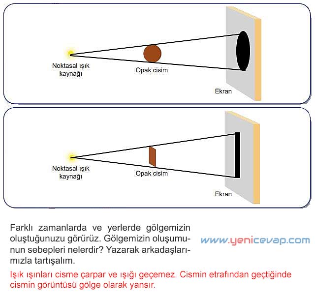 5. Sınıf Fen Bilimleri 2. Kitap Sayfa 36 37 38 43 44 45 Cevapları Meb