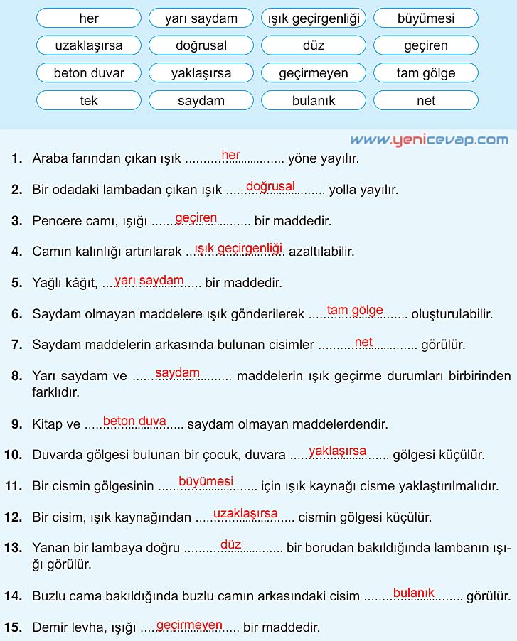 5. Sınıf Fen Bilimleri 2. Kitap Sayfa 36 37 38 43 44 45 Cevapları Meb