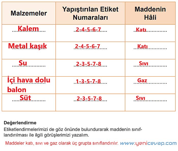 5. Sınıf Fen Bilimleri 2. Kitap Sayfa 61 62 63 64 65 66 67 Cevapları Meb