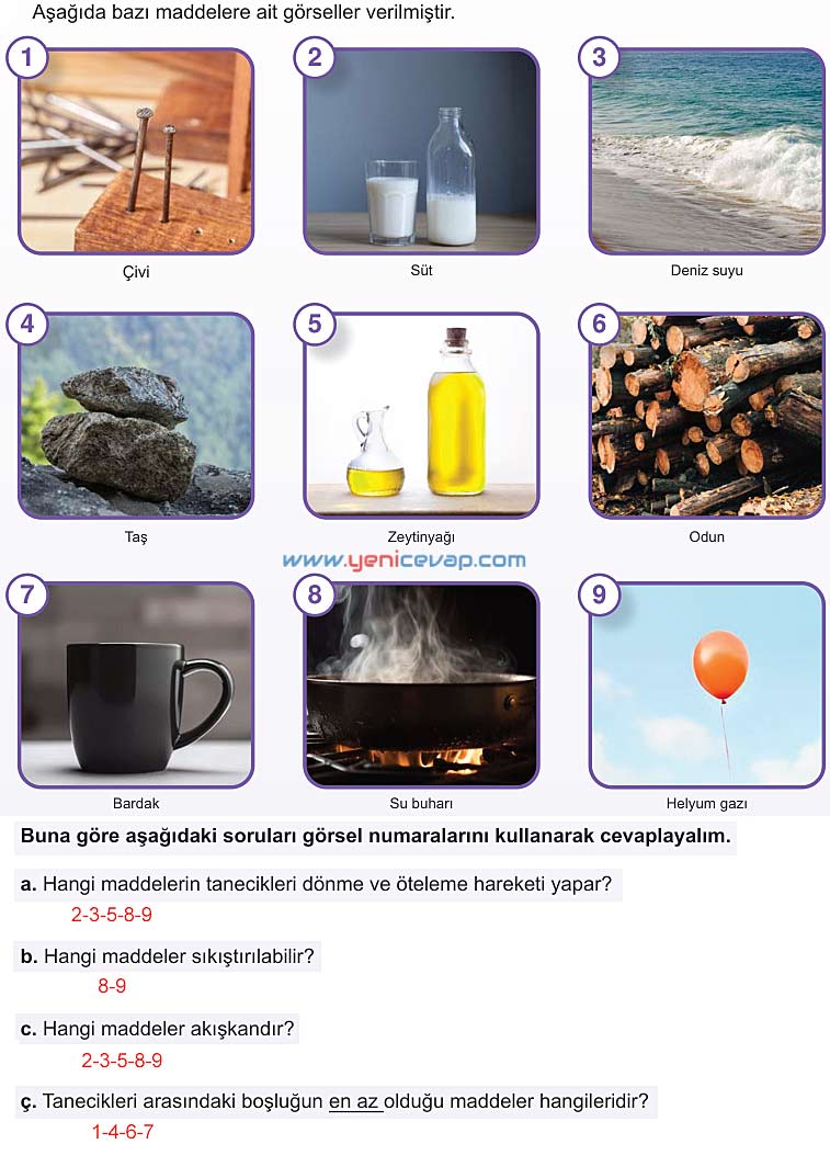 5. Sınıf Fen Bilimleri 2. Kitap Sayfa 61 62 63 64 65 66 67 Cevapları Meb