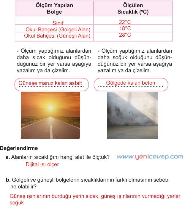 5. Sınıf Fen Bilimleri 2. Kitap Sayfa 61 62 63 64 65 66 67 Cevapları Meb