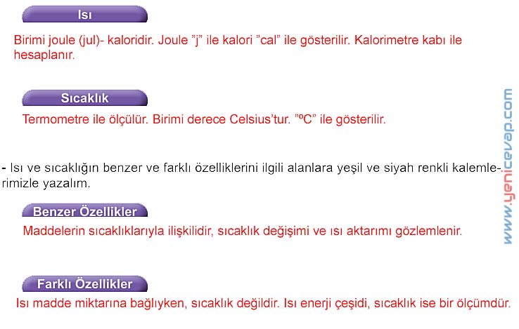 5. Sınıf Fen Bilimleri 2. Kitap Sayfa 61 62 63 64 65 66 67 Cevapları Meb
