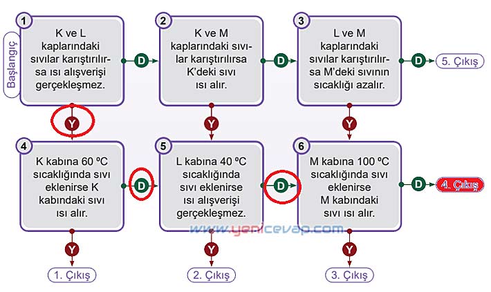 5. Sınıf Fen Bilimleri 2. Kitap Sayfa 69 70 72 73 74 75 Cevapları Meb