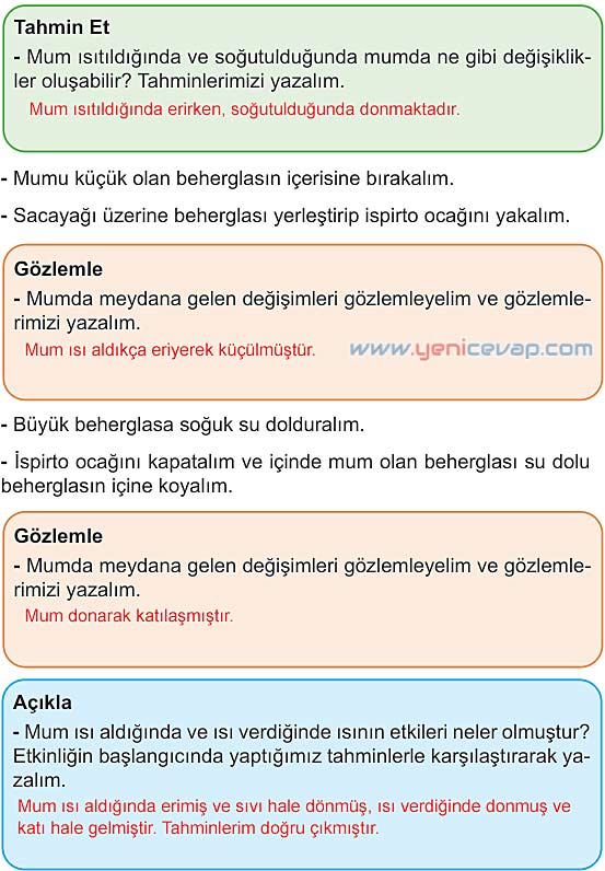 5. Sınıf Fen Bilimleri 2. Kitap Sayfa 76 77 78 79 80 Cevapları Meb