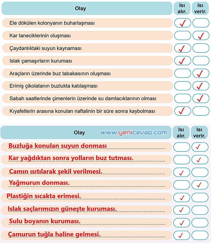 5. Sınıf Fen Bilimleri 2. Kitap Sayfa 76 77 78 79 80 Cevapları Meb
