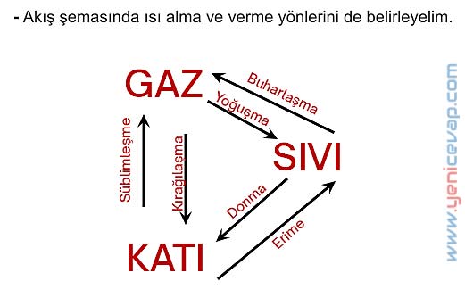 5. Sınıf Fen Bilimleri 2. Kitap Sayfa 76 77 78 79 80 Cevapları Meb