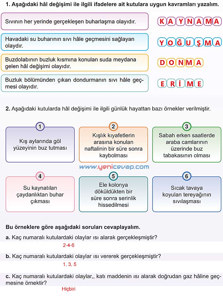 5. Sınıf Fen Bilimleri 2. Kitap Sayfa 83 84 85 86 87 88 90 91 Cevapları Meb