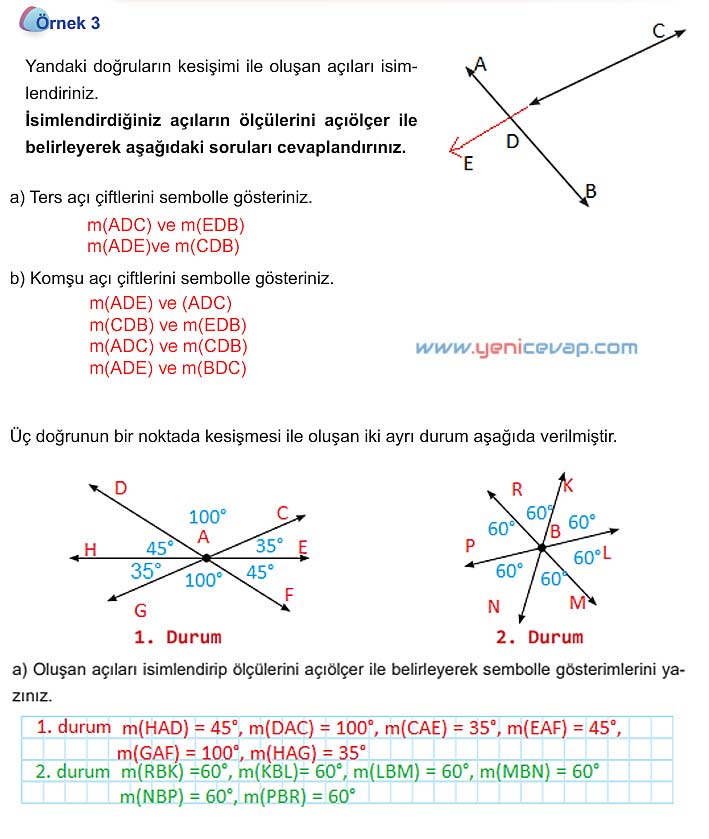 5. Sınıf Matematik 1. Kitap Sayfa 50 51 52 53 Cevapları Meb