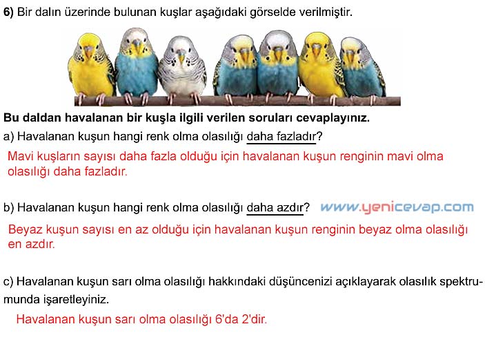 5. Sınıf Matematik 2. Kitap Sayfa 179 180 181 182 Cevapları Meb